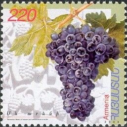 Colnect-2184-845-Grapes-Black-areni.jpg