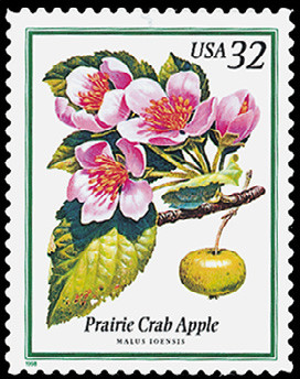 Colnect-2649-159-Prairie-Crab-Apple.jpg