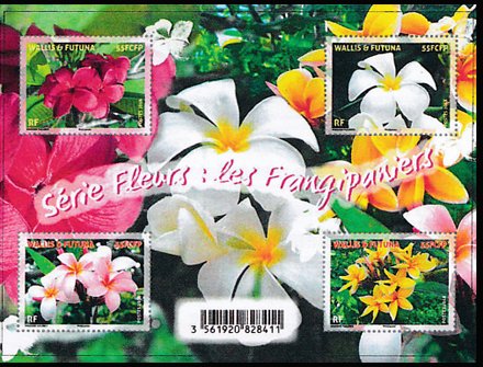 Colnect-5235-249-Frangipani-Flowers.jpg