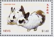 Colnect-5647-532-Netherlands-Dwarf-rabbits-white-with-brown-markings.jpg