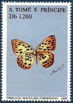 Colnect-2548-767-Formosan-Leopard-Timelaea-maqulata-formosana.jpg