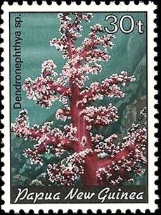Colnect-1671-992-Carnation-Tree-Coral-Dendronephthya-sp.jpg