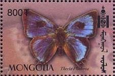 Colnect-1290-197-Butterfly-Thecla-phaleros.jpg