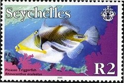 Colnect-1705-018-Lagoon-Triggerfish-Rhinecanthus-aculeatus.jpg