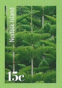 Colnect-3129-721-Norfolk-pine-forest.jpg