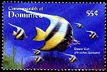 Colnect-3253-397-Pennant-Butterflyfish-Heniochus-diphreutes.jpg