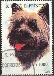 Colnect-1272-102-Scottish-Terrier-Canis-lupus-familiaris.jpg