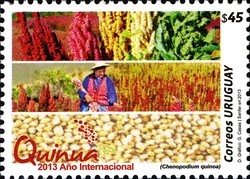 Colnect-2050-701-2013-International-Year-of-Quinoa.jpg