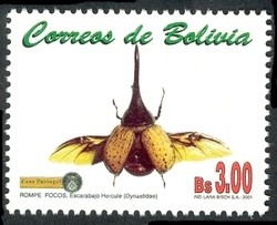 Colnect-1410-237-Rhinoceros-Beetle-Dynastes-sp.jpg
