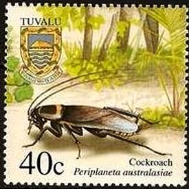 Colnect-2767-530-Australian-Cockroach-Periplaneta-australasiae.jpg