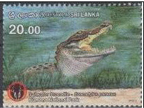 Colnect-3165-370-Saltwater-Crocodile-Crocodylus-porosus.jpg