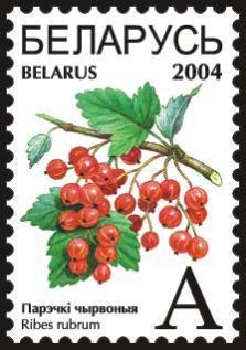 Colnect-1058-280-Red-currants---Ribes-rubrum-.jpg