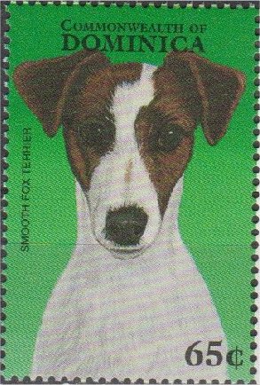 Colnect-3214-379-Smooth-Fox-Terrier-Canis-lupus-familiaris.jpg