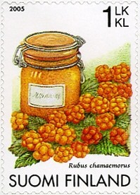 Colnect-585-385-Cloudberry-Rubus-chamaemorus.jpg