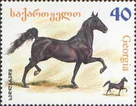 Colnect-1104-808-Black-Horse-Equus-ferus-caballus.jpg