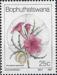 Colnect-1704-949-Wild-flowers---Pterodiscus-speciosus.jpg