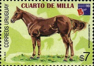 Colnect-491-736-Quarter-Horse-Equus-ferus-caballus.jpg