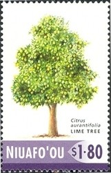 Colnect-1538-331-Fruit-trees---Lime.jpg