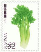 Colnect-3541-905-Celery-Apium-Graveolens.jpg