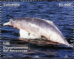 Colnect-1700-814-Amazon-River-Dolphin-Inia-geoffrensis.jpg