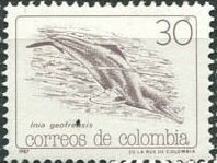 Colnect-6231-111-Amazon-River-Dolphin-Inia-geoffrensis.jpg