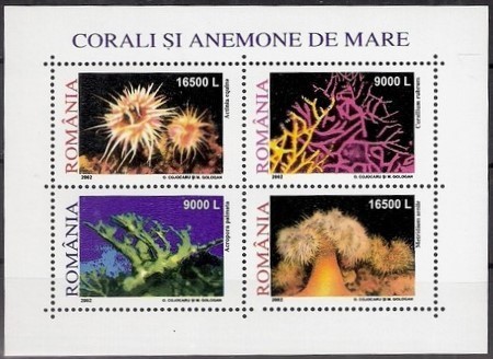 Colnect-1497-216-Corals-and-Sea-Anemones---MiNo-5634-37.jpg