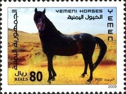 Colnect-961-037-Yemen-Horse-Equus-ferus-caballus.jpg