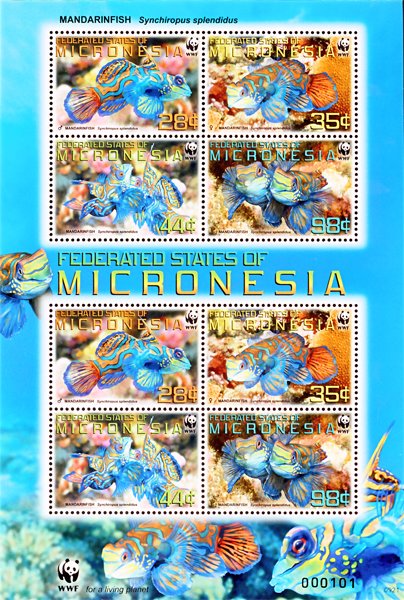 Colnect-1620-627-Mandarinfish-Synchiropus-splendidus.jpg
