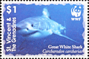 Colnect-1748-179-Great-White-Shark-Carcharodon-carcharias.jpg