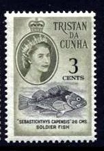 Colnect-1771-996-Cape-Redfish-Sebastichthys-capensis.jpg