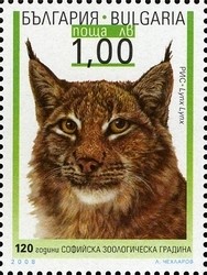 Colnect-1399-050-Eurasian-Lynx-Lynx-lynx.jpg