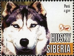 Colnect-1584-936-Siberian-Husky-Canis-lupus-familiaris.jpg
