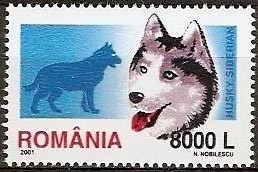Colnect-757-998-Siberian-Husky-Canis-lupus-familiaris.jpg