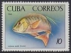 Colnect-1621-932-Mutton-Snapper-Lutianus-analis.jpg