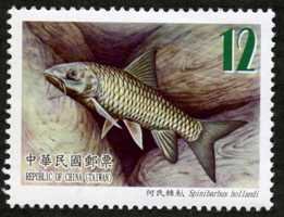 Colnect-1854-038-Fish-Spinibarbus-hollandi.jpg
