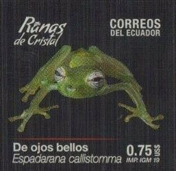 Colnect-6138-761-Glass-Frogs-of-Ecuador.jpg