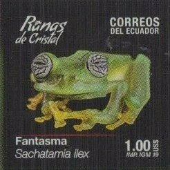 Colnect-6138-765-Glass-Frogs-of-Ecuador.jpg
