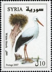 Colnect-1427-257-White-Stork-Ciconia-ciconia.jpg