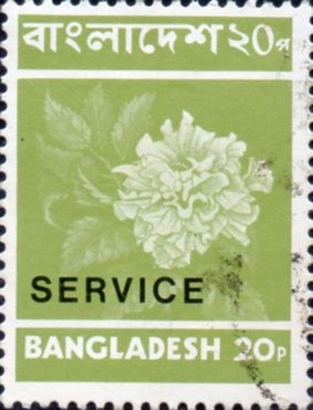Colnect-3016-346-Stamp-overprint.jpg