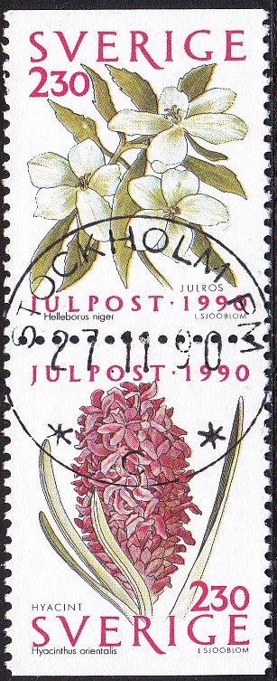 Colnect-5416-884-Christmas-Rose--Hyacinth.jpg