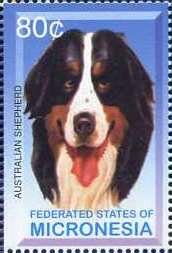 Colnect-5661-597-Australian-Shepherd.jpg