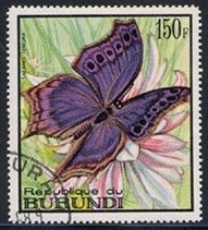 Colnect-1263-032-Blue-Salamis-Butterfly-Salamis-temora.jpg