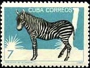 Colnect-1974-004-Plains-Zebra-Equus-quagga.jpg