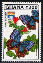 Colnect-2170-911-Blue-Salamis-Butterfly-Salamis-temora.jpg