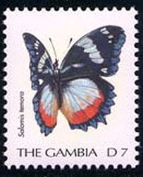 Colnect-2342-611-Blue-Salamis-Butterfly-Salamis-temora.jpg