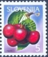 Colnect-707-949-Fruits-in-Slovenia-Vigred.jpg