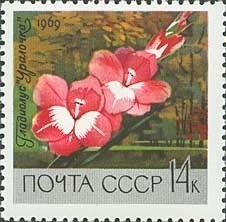 Colnect-918-730-Gladiolus--quot-Ural-Girl-quot-.jpg
