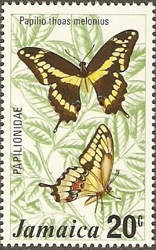 Colnect-1537-534-King-Swallowtail-Papilio-thoas-melonius.jpg