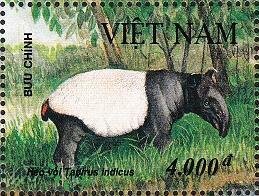 Colnect-1613-147-Asian-Tapir-Tapirus-indicus.jpg