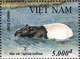 Colnect-1613-149-Asian-Tapir-Tapirus-indicus.jpg